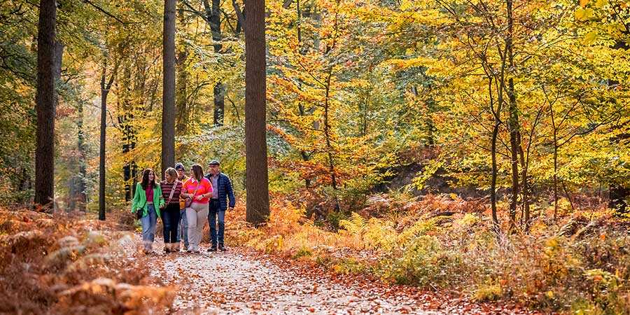 Week van het Bos 2024 Week van het Bos 2024