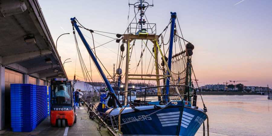 Tips4Trips Nieuwpoort Tips4Trips Nieuwpoort
