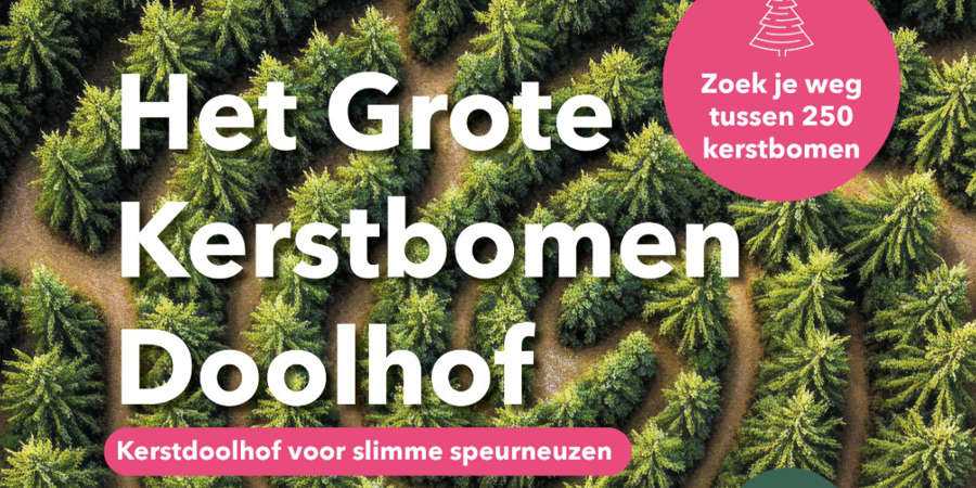 Eeklo kerstbomen doolhof Eeklo kerstbomen doolhof